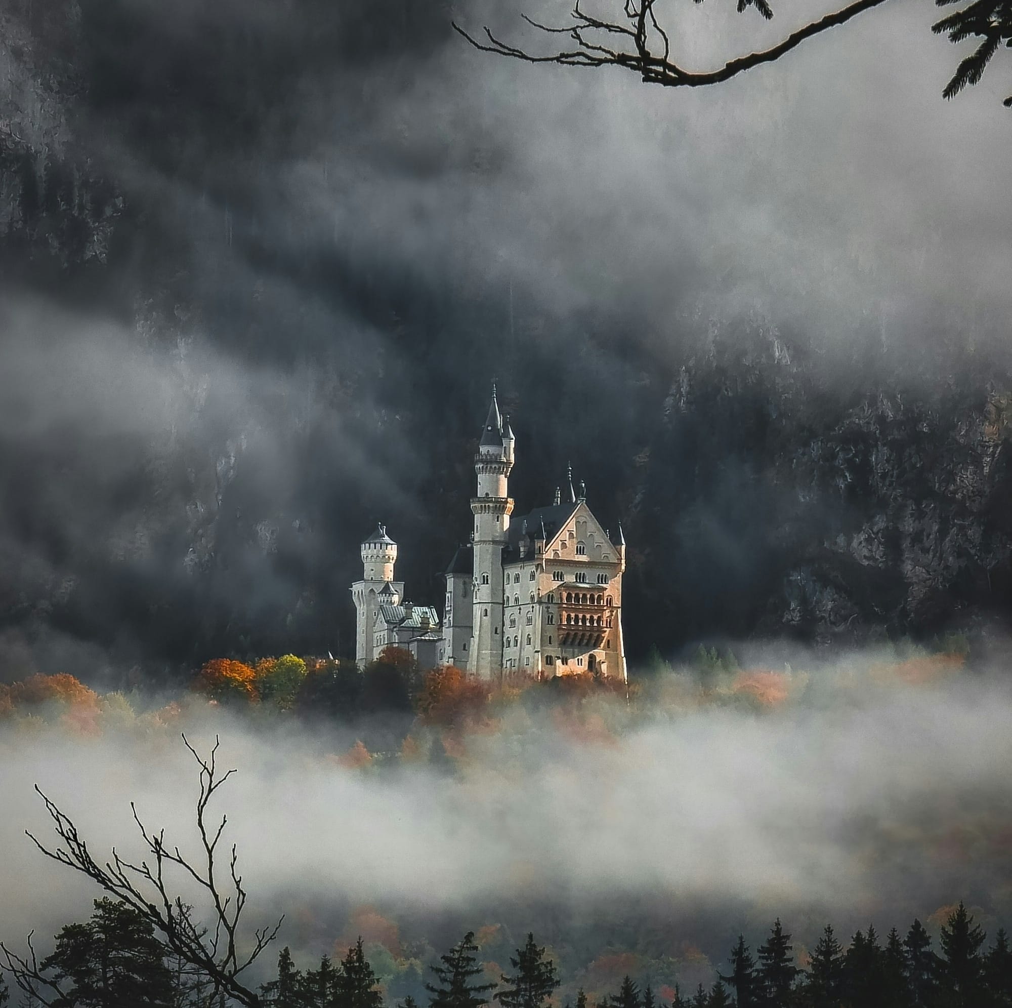 Brian Wildman
